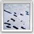 our products: Macro Recorder, Helpdesk Software, ASP.NET Forum and more...
