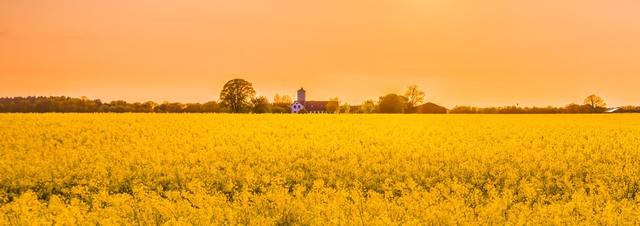 Product update: Subtickets, Customer satisfaction surveys and Dependent custom fields