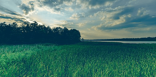 Empathy is not the most important thing in customer support